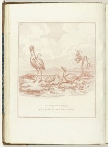 Comité van Hoge, Lage en Middelbare Heerlijkheden, 1795 El Comité de los Alti, Bassi y Mezzani Domini (título sobre el objeto) Hollandia Regenerata (Italianse kopie) (título de la serie) La regeneración de Holanda: spechio a todos los pueblos regenerados (
