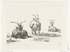 tres cabras Cabras y ovejas a N.P. Berchem (título de la serie) de Anonymous