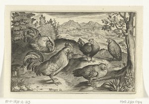 Tres gallinas y dos gallos Pájaros e insectos (título de la serie)