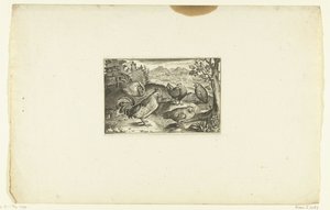 Tres gallinas y dos gallos Volatilium varii generis (...) (título de la serie)