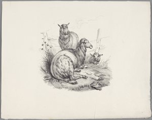 Tres ovejas en una cerca Seis estudios con animales pequeños (título de la serie) Seis pequeños estudios de bestias (título de la serie sobre el objeto) de Anonymous