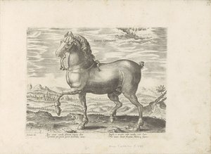 Duits paard Caballo alemán (título sobre objeto) Paardenrassen uit de Koninklijke stallen van Don Juan van Oostenrijk (título de la serie) Equile, en el que es el más noble de todos los tipos: un personaje distinguido de caballos de varias partes del mundo