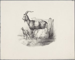 Una cabra, una cabra y un cordero. Seis estudios con animales pequeños (título de la serie) Seis pequeños estudios de bestias (título de la serie sobre el objeto)