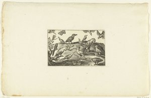 Un salto con varios tipos de pájaros. Volatilium varii generis (...) (título de la serie) de Anonymous
