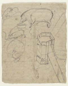 Algunos estudios de jabalíes, un pavo real, un loro y una torre