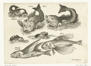 Fantásticos animales acuáticos, como el delfín y el pez globo
Libelivs varia Genera piscium complectens (título de la serie)
Peces de agua dulce, peces de mar, ranas, crustáceos y criaturas marinas (título de la serie) de Anonymous