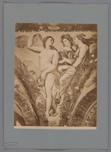 Fotoreproductie van het fresco Amor en Psyche in de Loggia di Psyche, Villa Farnesina te Rome Roma. Amor y Psique. Farnesina (título sobre objeto) de Anonymous