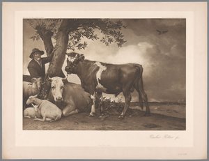 Reproducción fotográfica de la pintura El toro de Paulus Potter, coll. Mauritshuis 1904 - núm. 54. / Königl. Museo de La Haya (título de la serie) de Anonymous