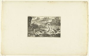 Gansos y patos por un río Volatilium varii generis (...) (título de la serie)