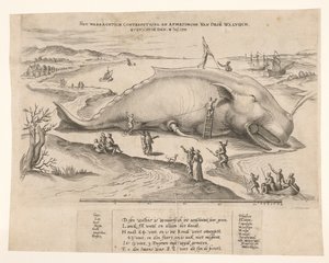 Ballena varada cerca de Amberes, 1577 El waerachtich conterfeytsel y el tamaño de esta[n] ballena, ghevanghe[n] den 2 de julio de 1577 (título sobre el objeto) de Anonymous
