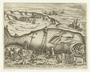 Walvis varado cerca de Berckhey, 1598 Warhafttigh y Wonderful Monster o Pottfisch en forma de ballena, del que Möer se había colado entre Catwyck y Schevelingen como Wyter en la relación ercleret el 4 de febrero de Anno 1598 (tit de Anonymous