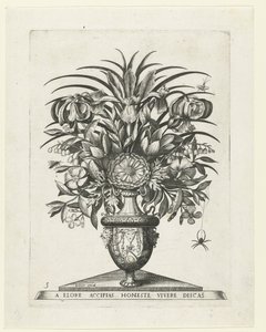 Jarrón grotesco con dos mascarones a cada lado de un bukranion Jarrones con flores (título de la serie)