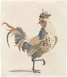 Gallo caminando a la derecha (versión A)