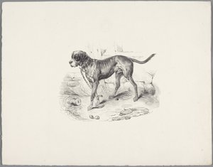 perro en una cadena Seis estudios con animales pequeños (título de la serie) Seis pequeños estudios de bestias (título de la serie sobre el objeto)