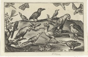 Lúpulo y otras aves Pájaros e insectos (título de la serie) de Anonymous