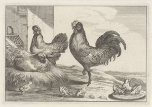 Gallina, gallos y pollitos Especies de Diversae avium (título de la serie) Aves diferentes (título de la serie)