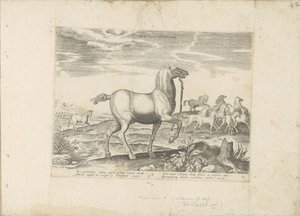 Kudde wilde paarden Free Horse Cursatio (título sobre el objeto) Paardenrassen uit de Koninklijke stallen van Don Juan van Oostenrijk (título de la serie) Un establo, en el que se encuentra lo más noble de todo tipo: un distinguido personaje de caballos de de Anonymous