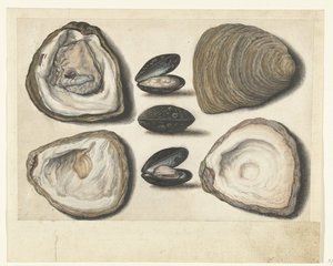 Oesters en mosselen
Álbum Lombardo (título de la serie)