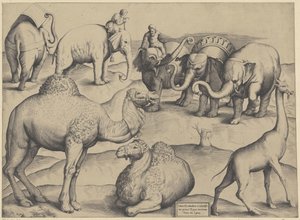 Olifantes, dromedarios y jirafas Cuadro 3 de animales extraídos de las pinturas más antiguas de Roma (título sobre objeto) Espejo de la magnificencia romana (título de la serie) de Anonymous