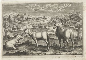 caballo y burros Animales de cuatro patas (título de la serie) Animalivm Qvaddrvpedvm (título de la serie) de Anonymous