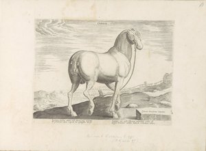 Paard envió a Córcega Corsus (título sobre objeto) Paardenrassen uit de Koninklijke stallen van Don Juan van Oostenrijk (título de la serie) Un caballo, en el que se encuentra el más noble de todos los tipos: un personaje distinguido de caballos de varias 