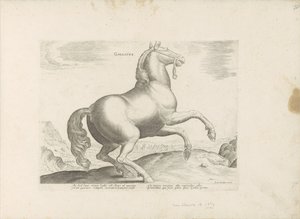 Paard envió a Frankrijk (título en el objeto) Paardenrassen uit de Koninklijke stallen van Don Juan van Oostenrijk (título de la serie) Un caballo, en el que se encuentra el más noble de todos los tipos: un personaje distinguido de caballos de varias parte