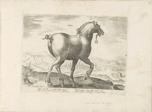 Paard envió a Saksen Saxo (título sobre objeto) Paardenrassen uit de Koninklijke stallen van Don Juan van Oostenrijk (título de la serie) Un caballo, en el que se encuentra el más noble de todos los tipos: un personaje distinguido de caballos de varias par