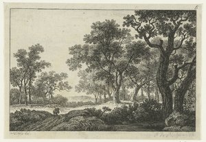 Camino por el bosque