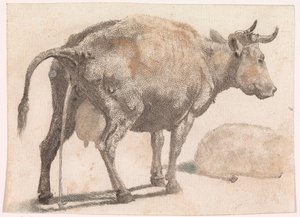 Vaca que orina