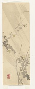 flor de ciruelo