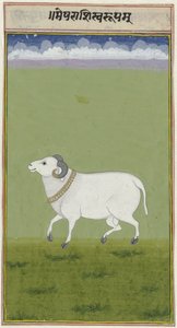 Carnero con collar dorado y puntas decoradas de sus cuernos Constelación de Aries