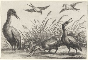 garzas y golondrinas de Anonymous