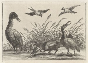 garzas y golondrinas de Anonymous