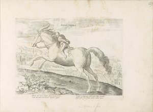 Renpaard conoció a ruiter Caballo (título sobre el objeto) Paardenrassen uit de Koninklijke stallen van Don Juan van Oostenrijk (título de la serie) Un caballo, en el que se encuentra el más noble de todos los tipos: un personaje distinguido de caballos de de Anonymous