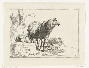 Ovejas de pie y dos ovejas acostadas Cabras y ovejas a N.P. Berchem (título de la serie) de Anonymous