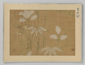 fragmento textil