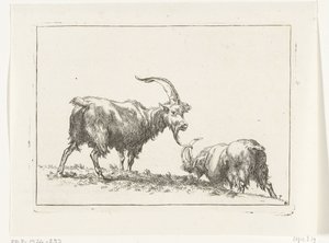 Dos cabras o machos cabríos
Cabras y ovejas a N.P. Berchem (título de la serie) de Anonymous