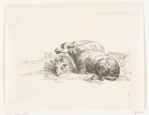 Dos ovejas mentirosas Cabras y ovejas a N.P. Berchem (título de la serie) de Anonymous