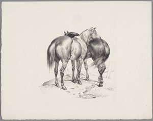 Dos caballos vistos desde atrás Seis estudios con animales pequeños (título de la serie) Seis pequeños estudios de bestias (título de la serie sobre el objeto) de Anonymous