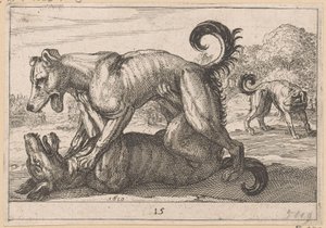 Dos perros de apareamiento y dos de pelea. Fighting Animals (copias) (título de la serie) de Anonymous