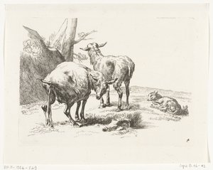 Dos cabras de pie y una cabra joven Cabras y ovejas a N.P. Berchem (título de la serie) de Anonymous