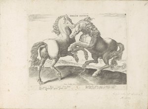Twee vechtende paarden Duel Equinum (título sobre objeto) Un caballo, en el que se encuentra el más noble de todos los tipos: un personaje distinguido de caballos de varias partes del mundo seleccionados (...) (título de la serie sobre el objeto) de Anonymous