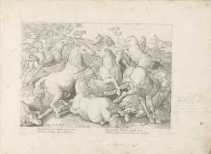 Vechtende paarden Un caballo, en el que se encuentra el más noble de todos los tipos: un personaje distinguido de caballos de varias partes del mundo seleccionados (...) (título de la serie sobre el objeto)