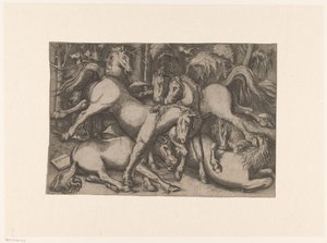 caballos de pelea