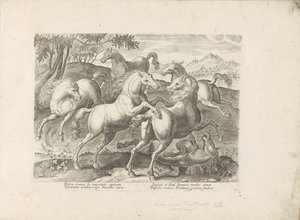 Vechtende paarden met een onder de voet gelopen paard Un caballo, en el que se encuentra el más noble de todos los tipos: un personaje distinguido de caballos de varias partes del mundo seleccionados (...) (título de la serie sobre el objeto) de Anonymous