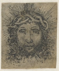 Ícono de Vera de Anonymous