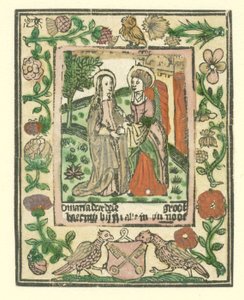 Visitación Vida de María (título de la serie)