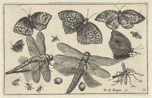 mariposas y libélulas Pájaros e insectos (título de la serie) de Anonymous