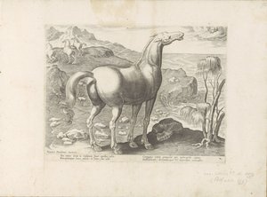 Viento del oeste bevrucht een merrie Paardenrassen uit de Koninklijke stallen van Don Juan van Oostenrijk (título de la serie) Un caballo, en el que se encuentra el más noble de todos los tipos: un personaje distinguido de caballos de varias partes del mun de Anonymous