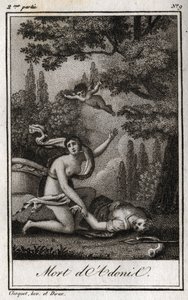 La muerte de Adonis. Grabado de 1819 en 